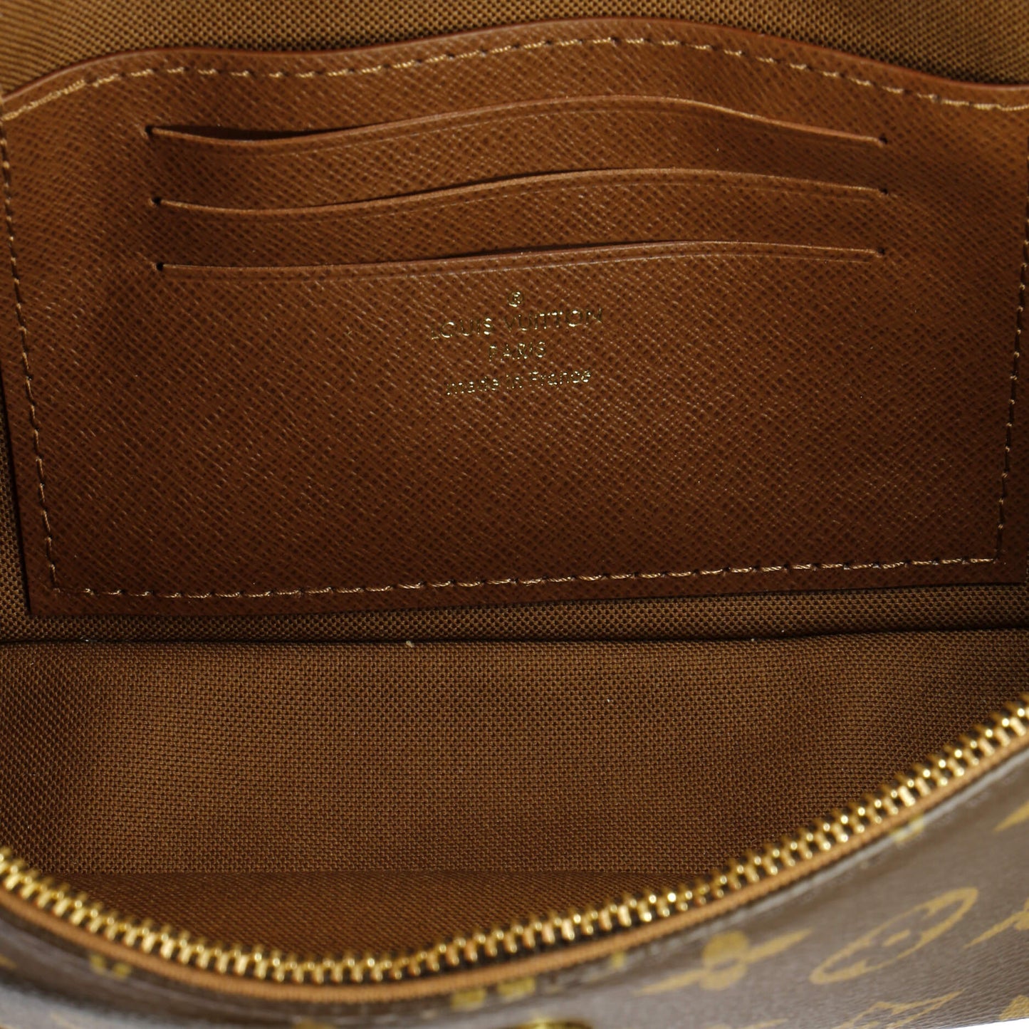 Louis Vuitton Ivy Wallet on Chain Monogram Canvas