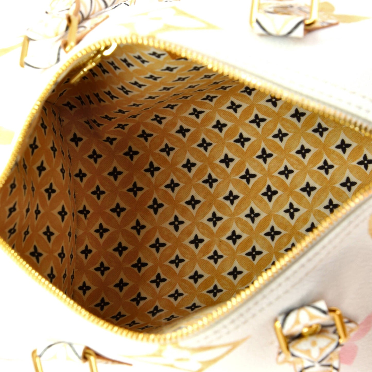 Louis Vuitton Speedy Bandouliere Bag By The Pool Monogram Watercolor Giant 25