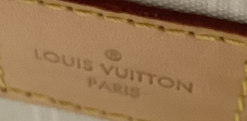 Louis Vuitton Speedy Bandouliere Bag By The Pool Monogram Giant 25