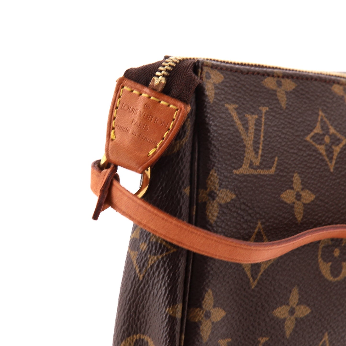 Louis Vuitton Pochette Accessoires Monogram Canvas