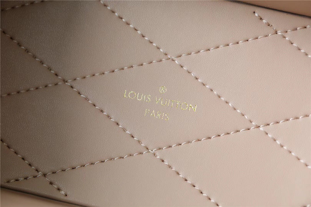 LV Camera Box Monogram Canvas By Nicolas Ghesquiere For Women,  Shoulder And Crossbody Bags 21.5cm/8.5in LVÃ‚Â 