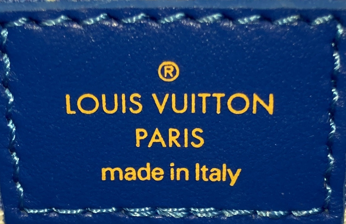 Louis Vuitton NeoNoe Handbag By The Pool Monogram Watercolor Giant BB