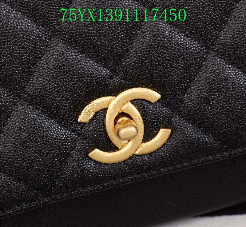 Glami - CHL Bags - 3203