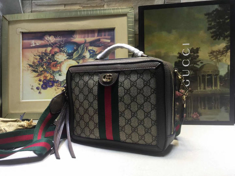 Gucci Luxury Fashion Bag