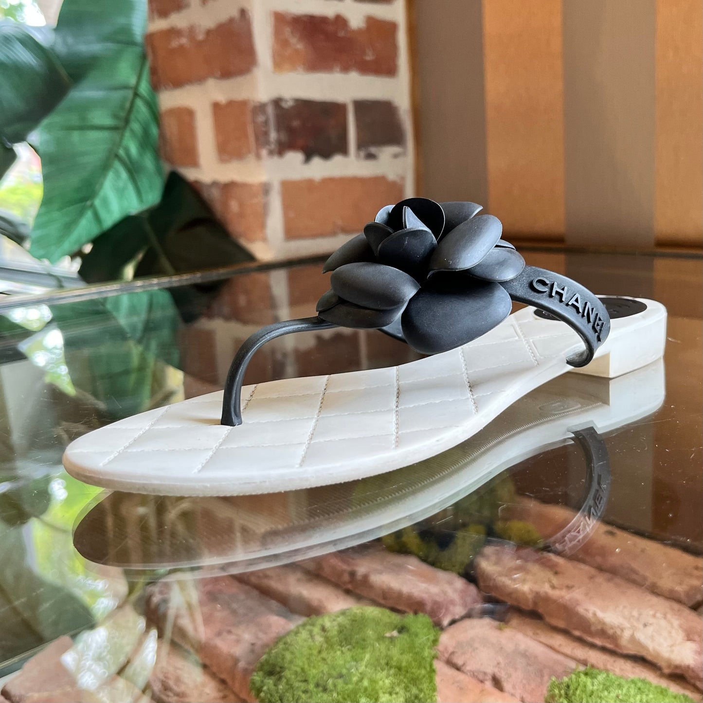 CHANEL Camelia Flower Rubber Thong Sandals SZ39(9US)