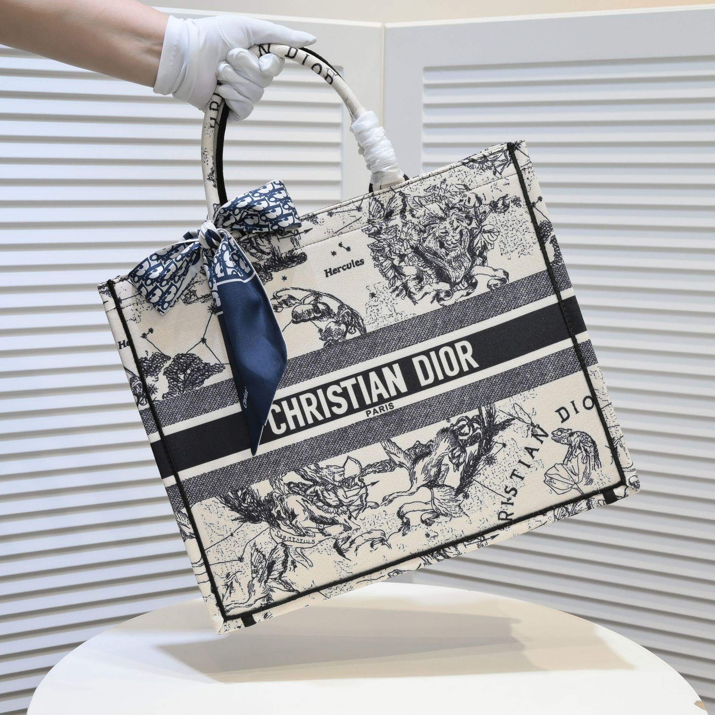 EN - New Arrival Bags DIR 296