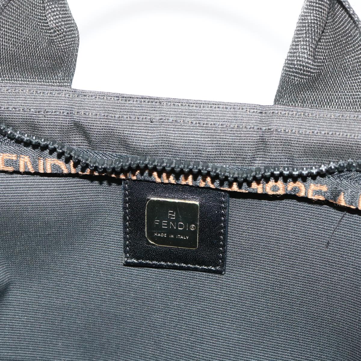 FENDI Hand Bag Nylon Black Brown 48222