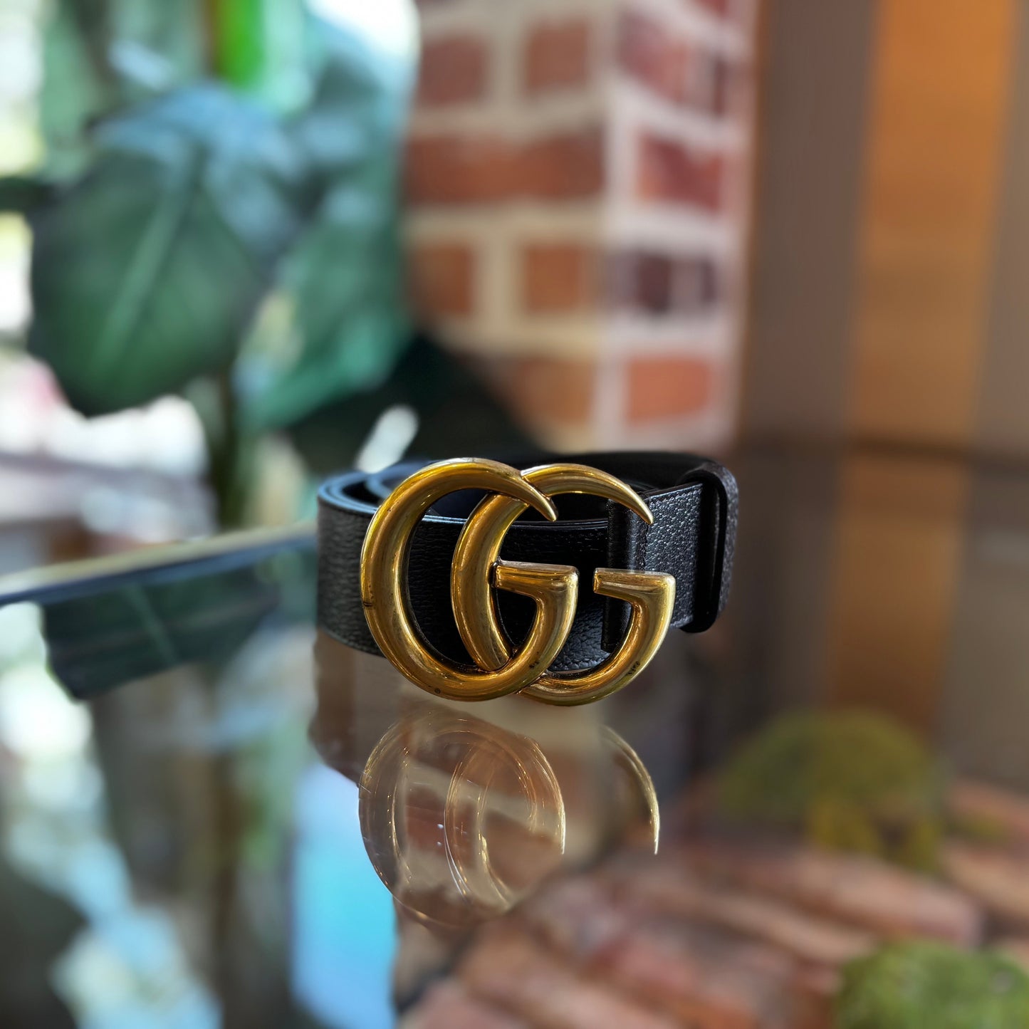 GUCCI Brown GG Marmont Wide Belt