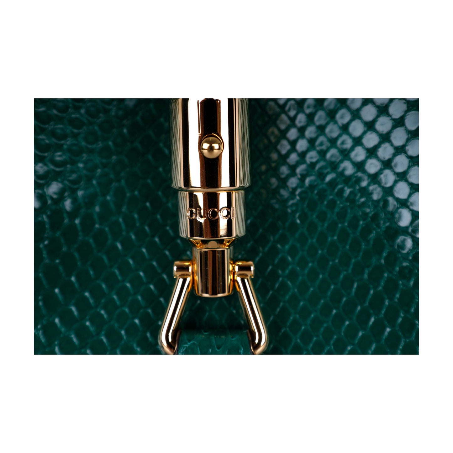 GLM-- 1961 Python Jackie  - '20s