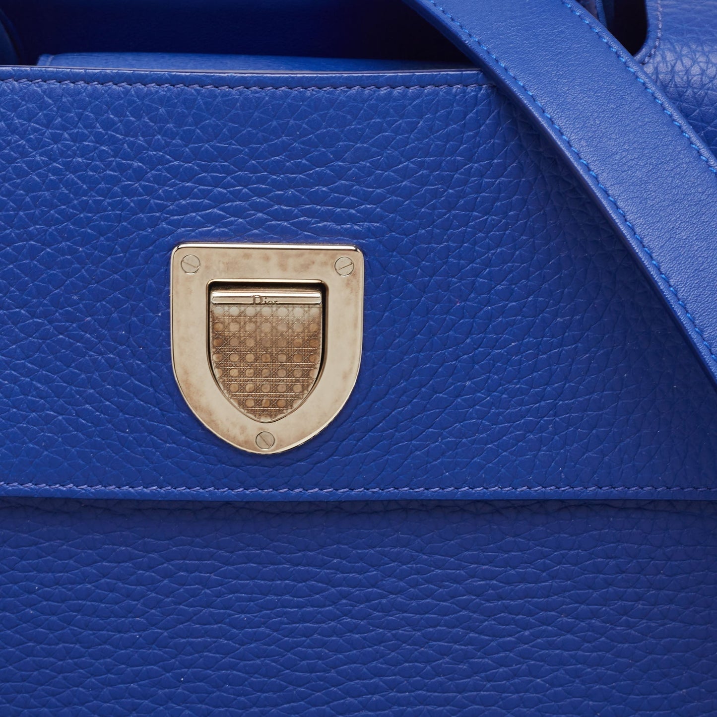 Dior Leather Medium Diorever Tote