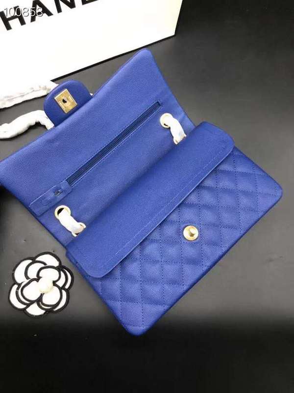 Satchel Bags - CHL Bags - 770
