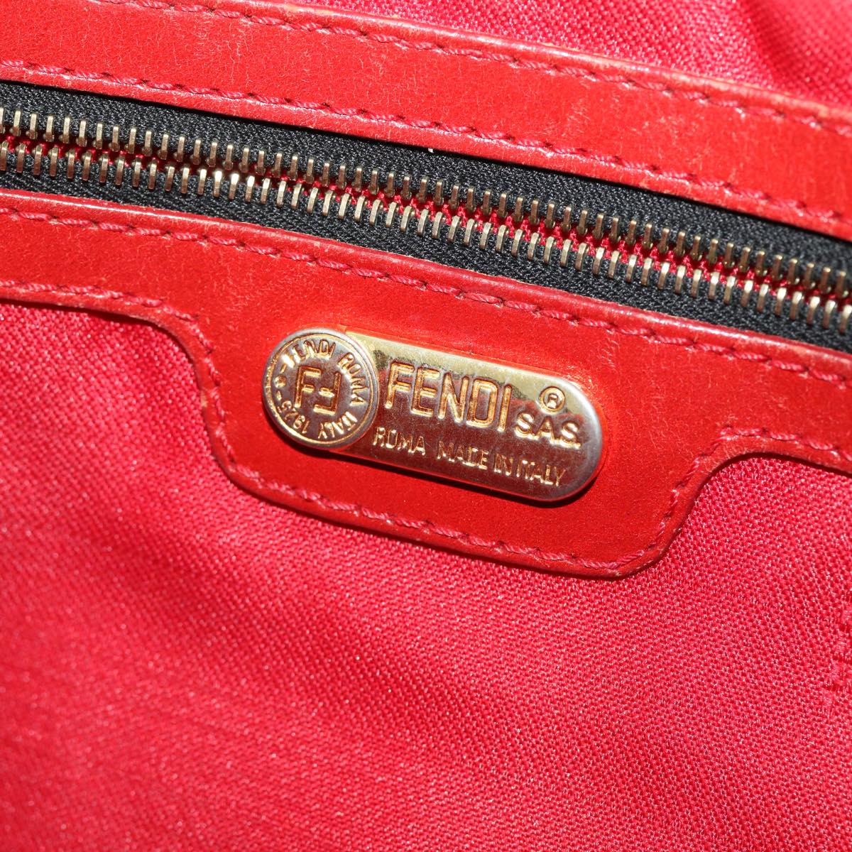 FENDI Leopard Hand Bag Nylon Leather Brown Red 50533