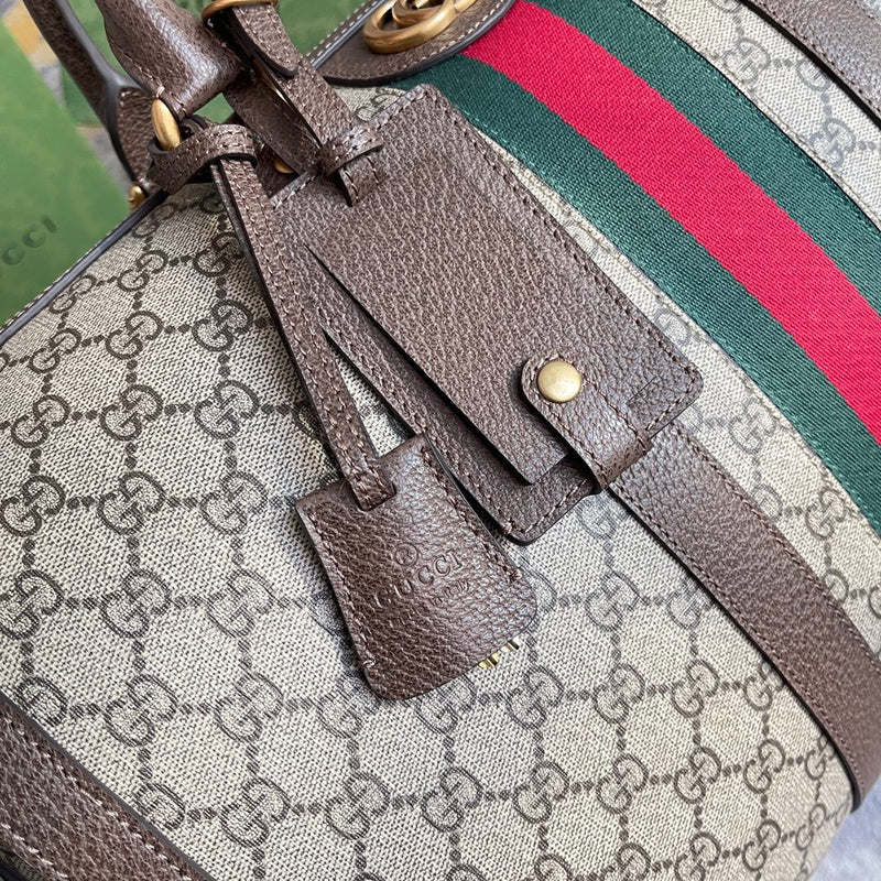 Gucci Luxury Fashion Bag