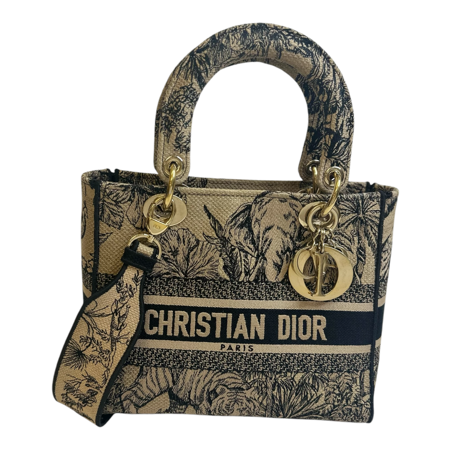 Christian Dior Toile de Jouy Voyage Embroidered Medium Lady D-Lite Beige Multicolor