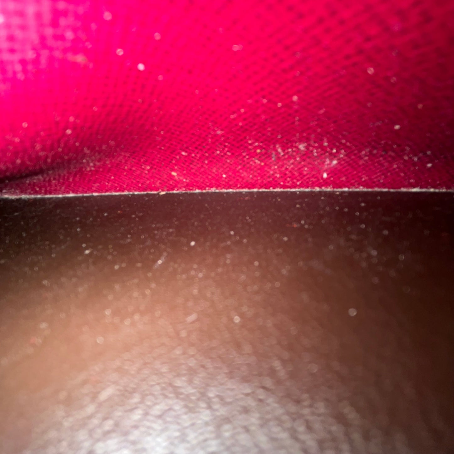 LOUIS VUITTON Emilie Monogram Wallet
