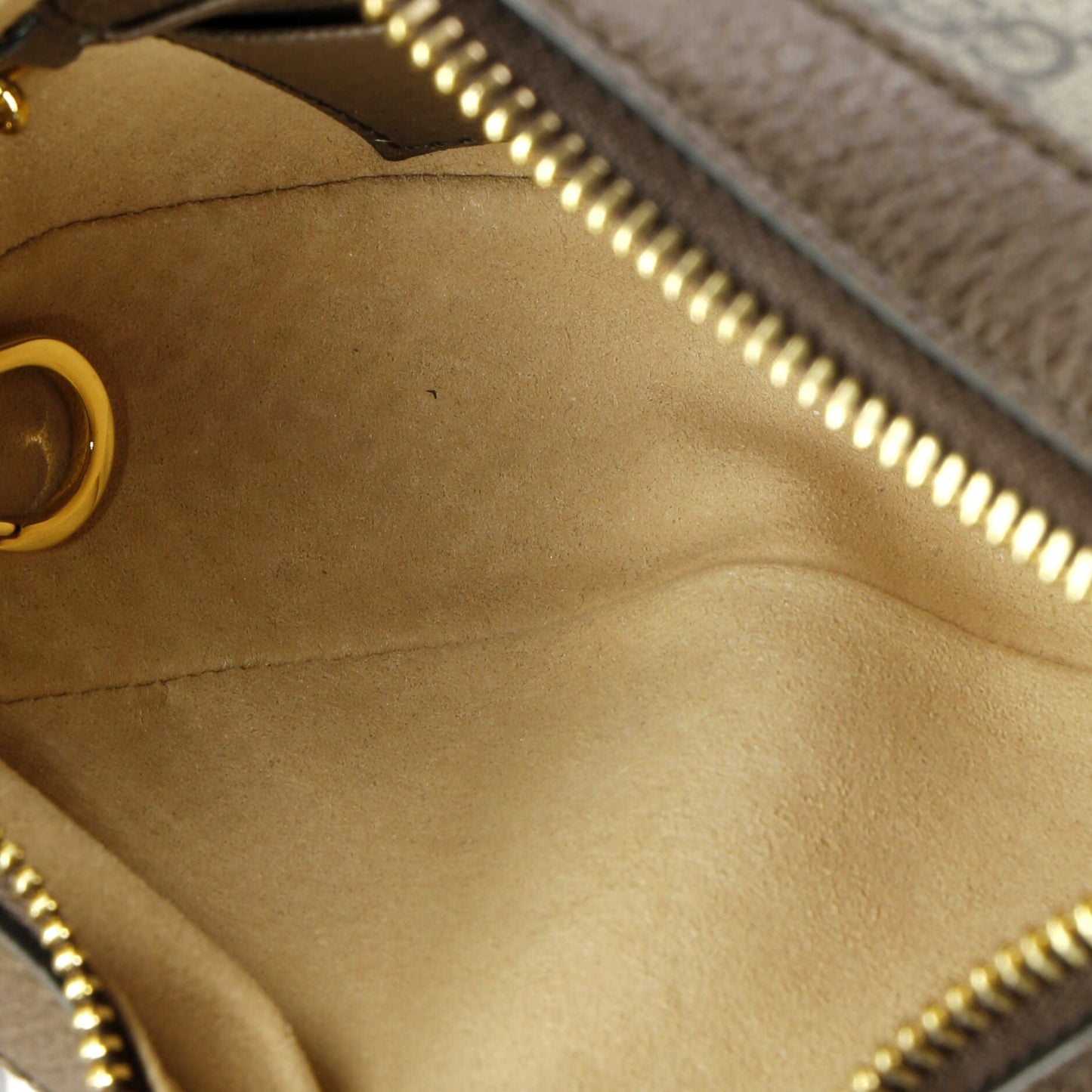 Ophidia Zip Hobo GG Coated Canvas Mini