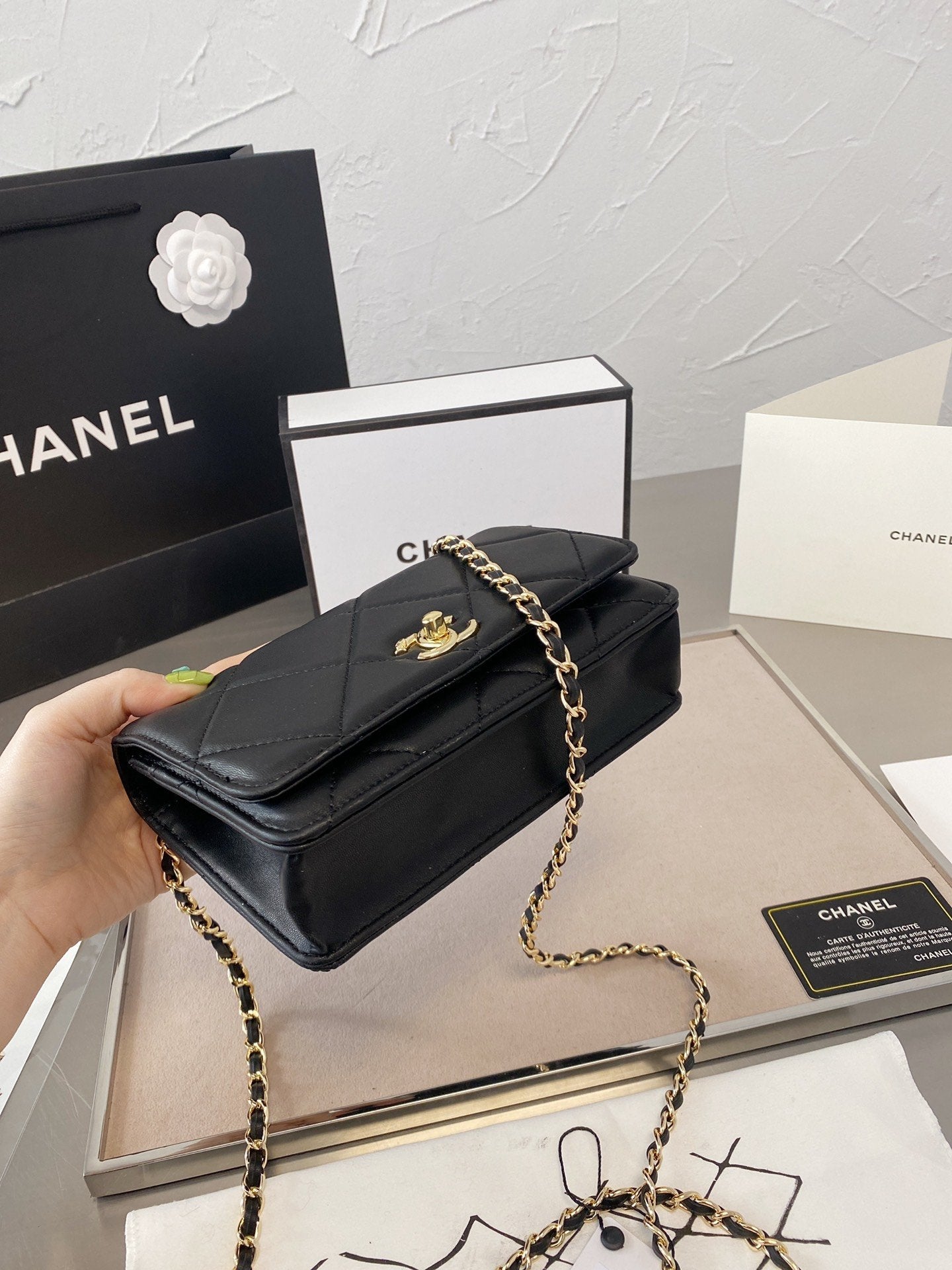 EN - New Arrival Bags CHL 054