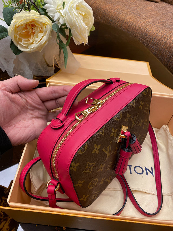 LOV2 Bags - Luxurious Bags  1052