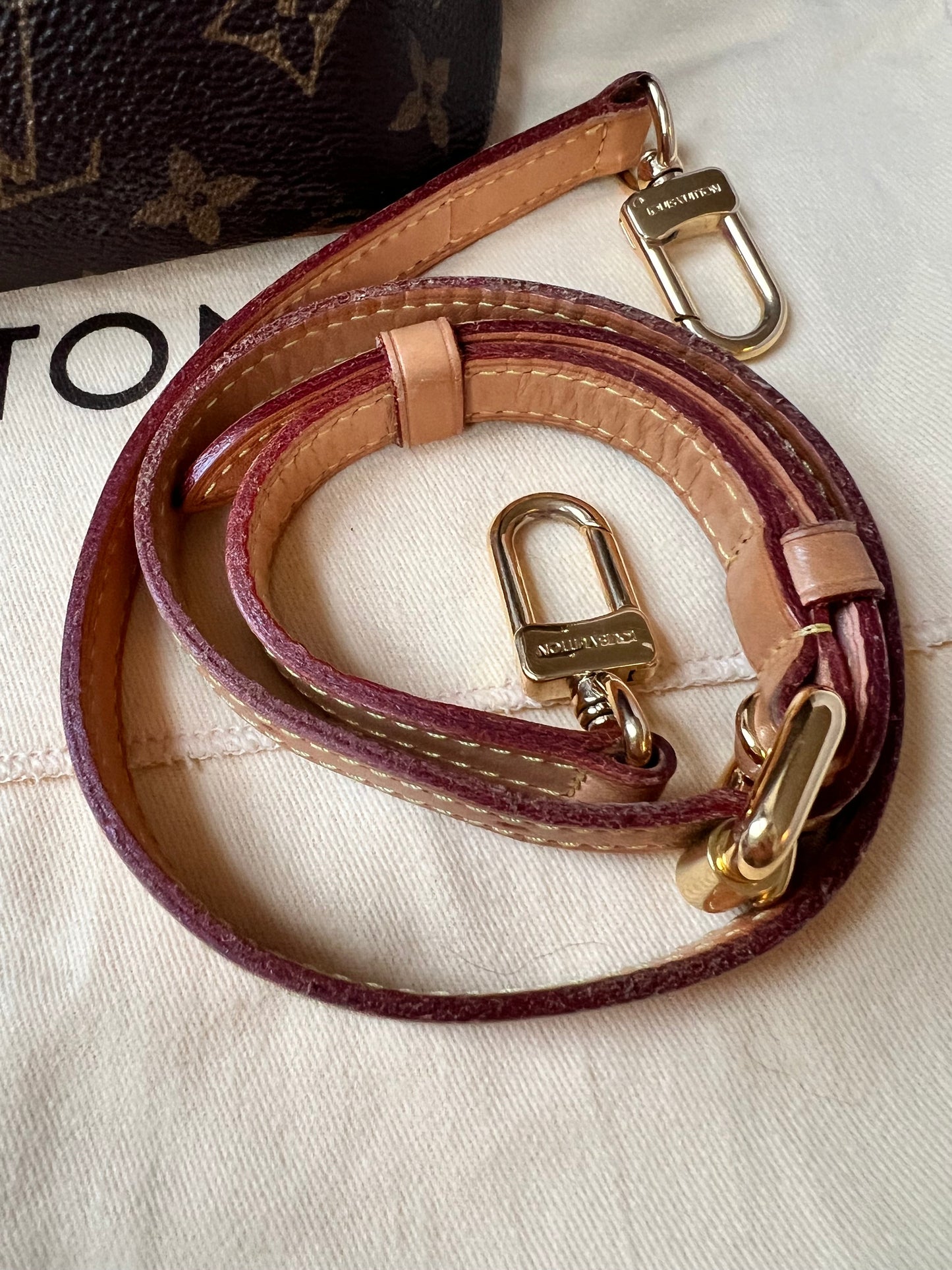 Louis Vuitton Palermo PM Monogram