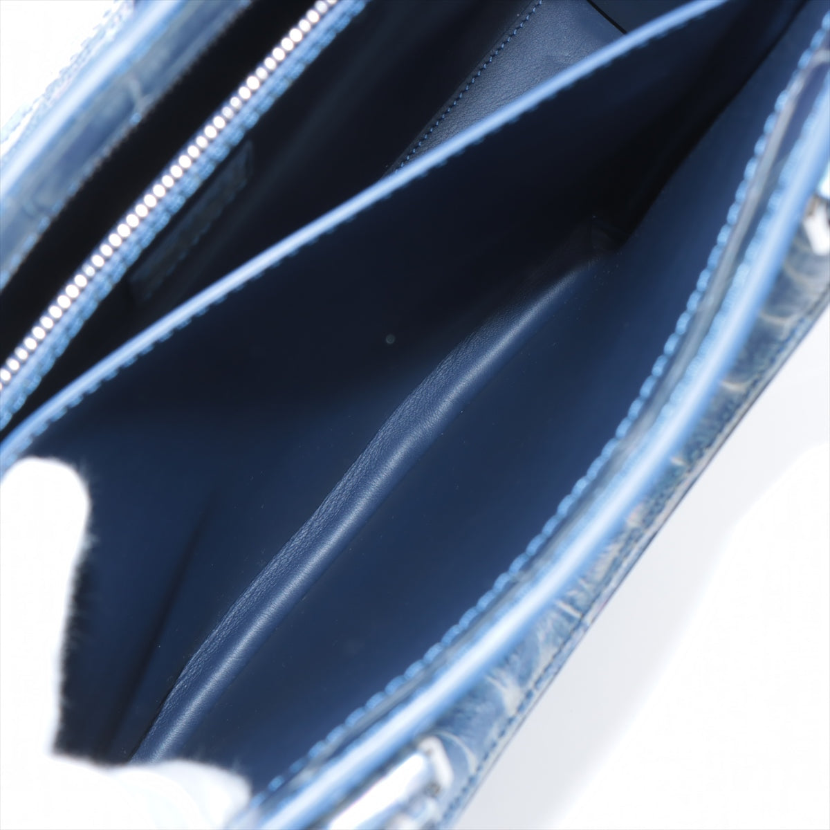 Louis Vuitton Exotic Leather Sakura