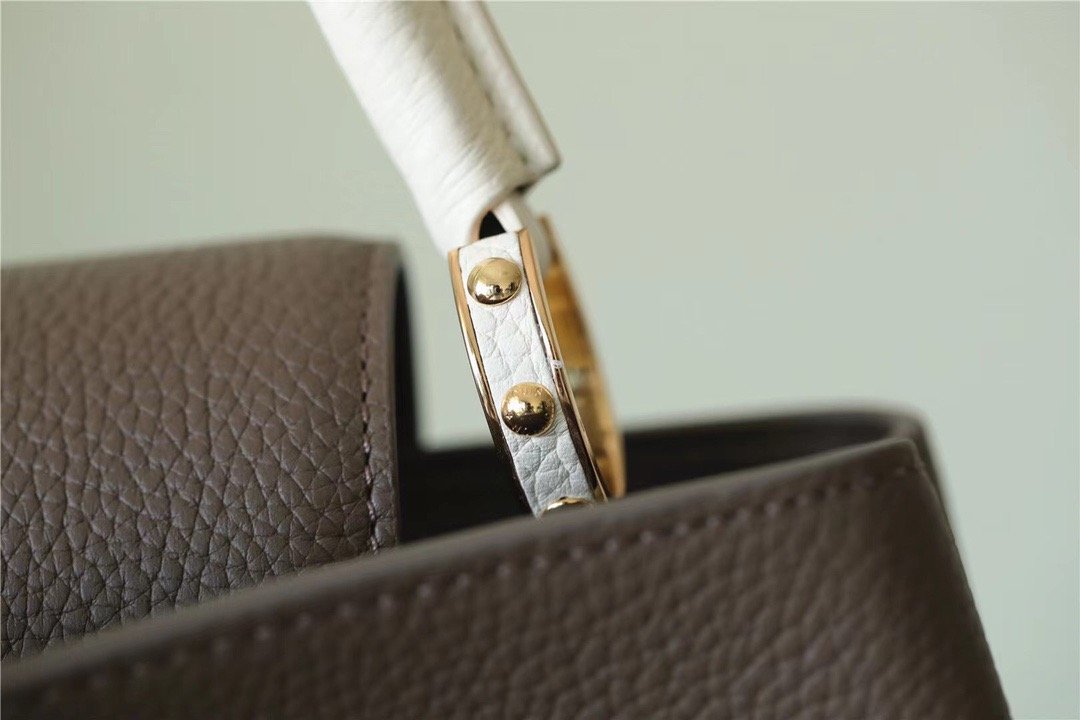 LV Capucines GLAMI Taurillon Smokey Brown Green/ Creme/ Pink For Women,  Shoulder And Crossbody Bags 27cm/10.6in LV M59516