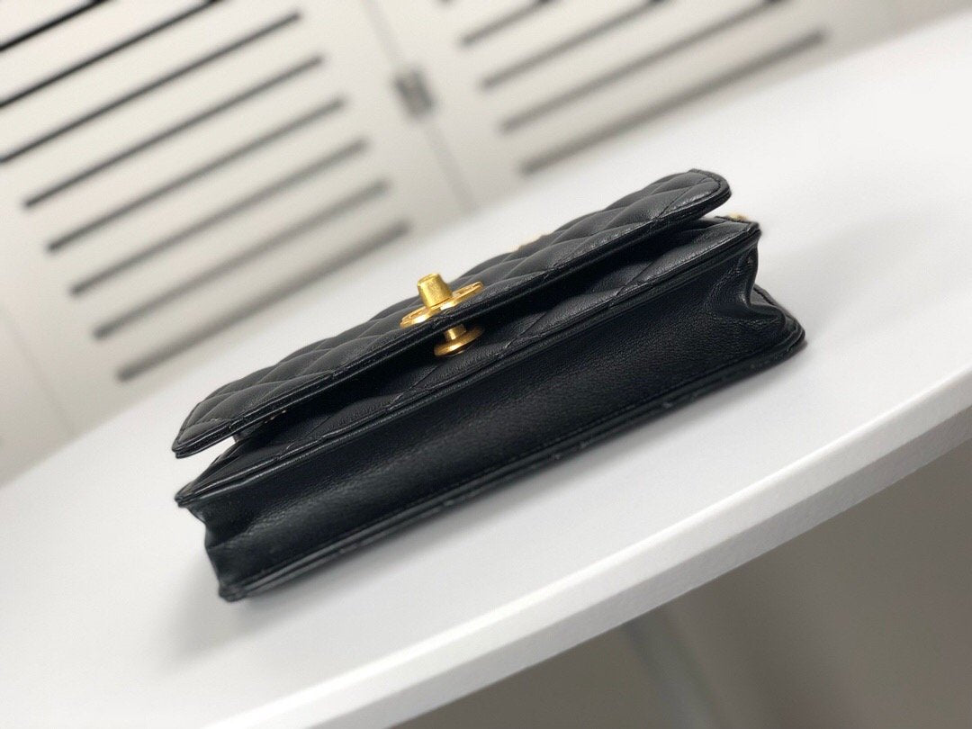 EN - New Arrival Bags CHL 081