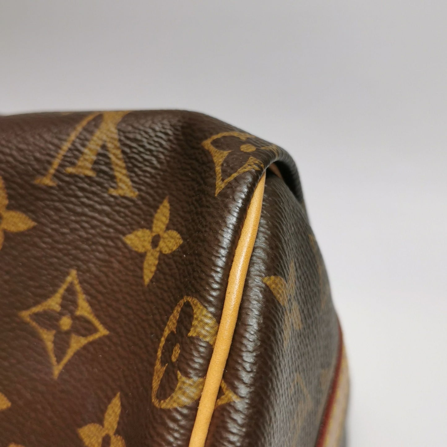 Preloved GLM-Speedy 25 Monogram Crossbody Bag with Chip 250519781199740