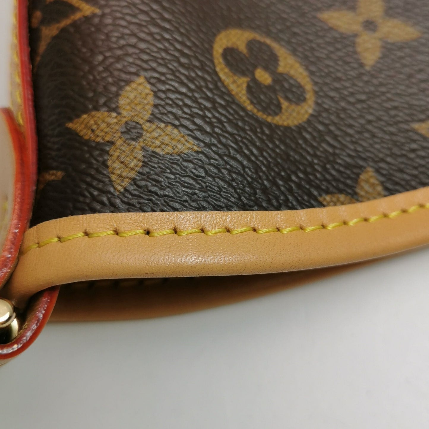 Preloved GLM-Carry All Small Monogram Print Crossbody Shoulder Bag with Chip 250602781219096