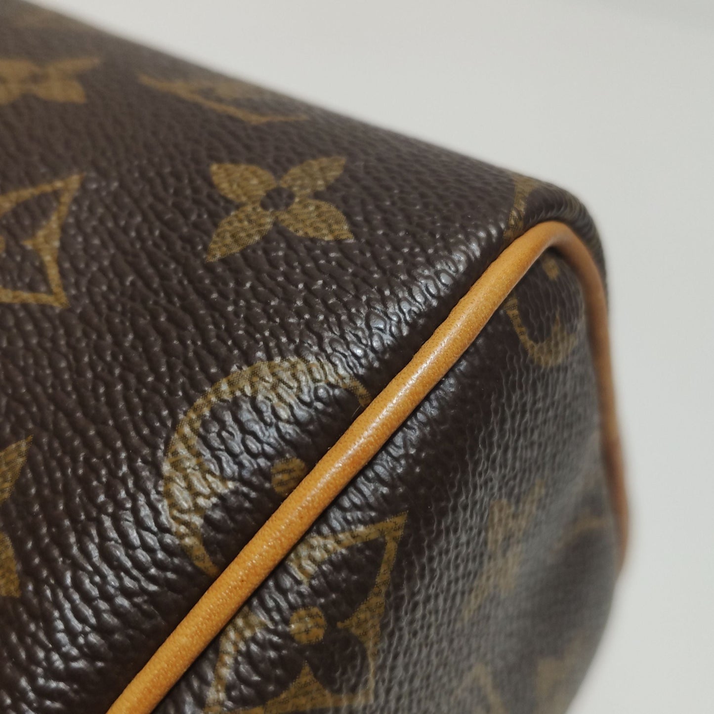Preloved GLM-Speedy Nano Monogram Crossbody Bag 250602781218895