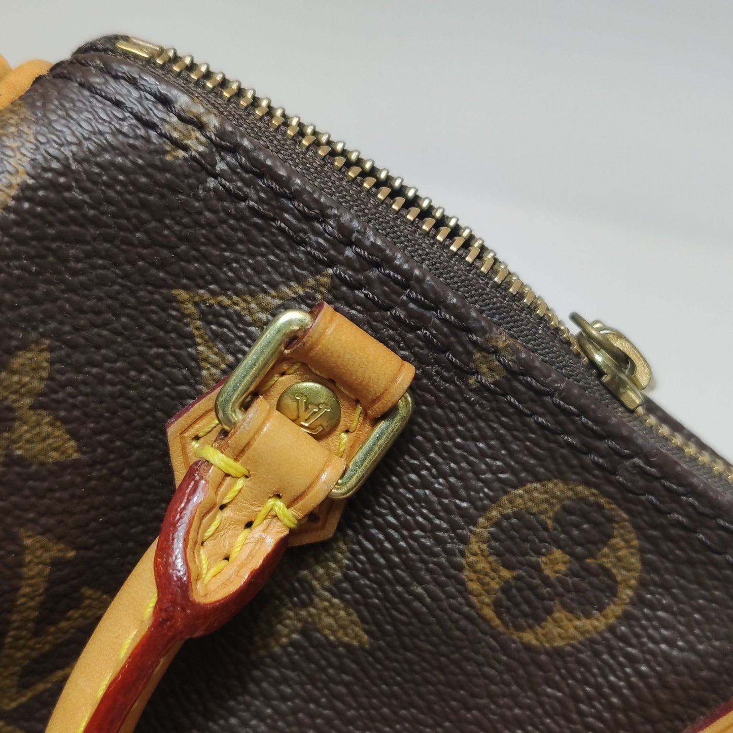Preloved GLM-Speedy Nano Monogram Crossbody Bag 250602781218895