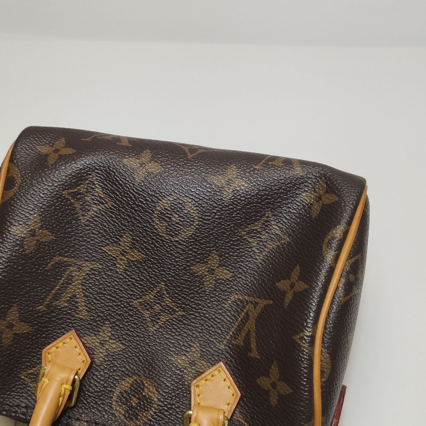 Preloved GLM-Speedy Nano Monogram Crossbody Bag 250602781218895