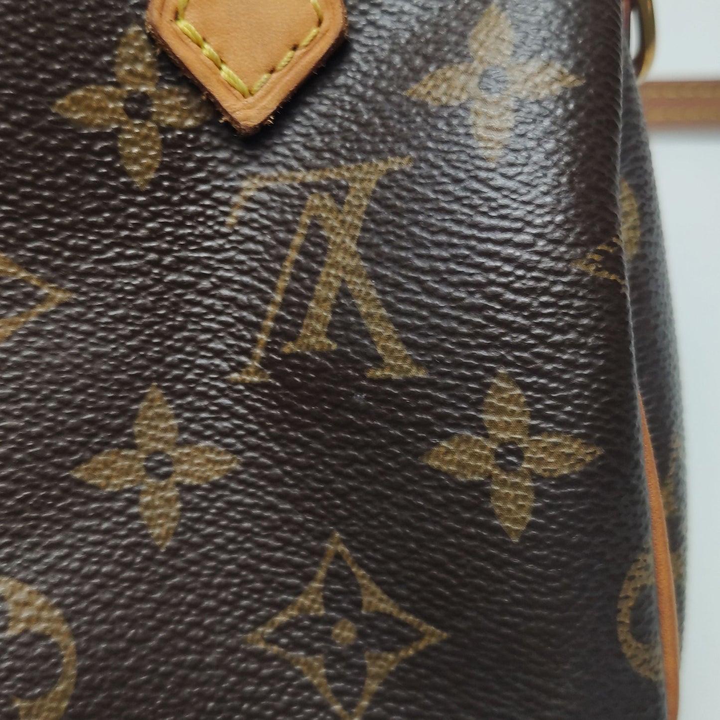 Preloved GLM-Speedy Nano Monogram Crossbody Bag 250602781219190