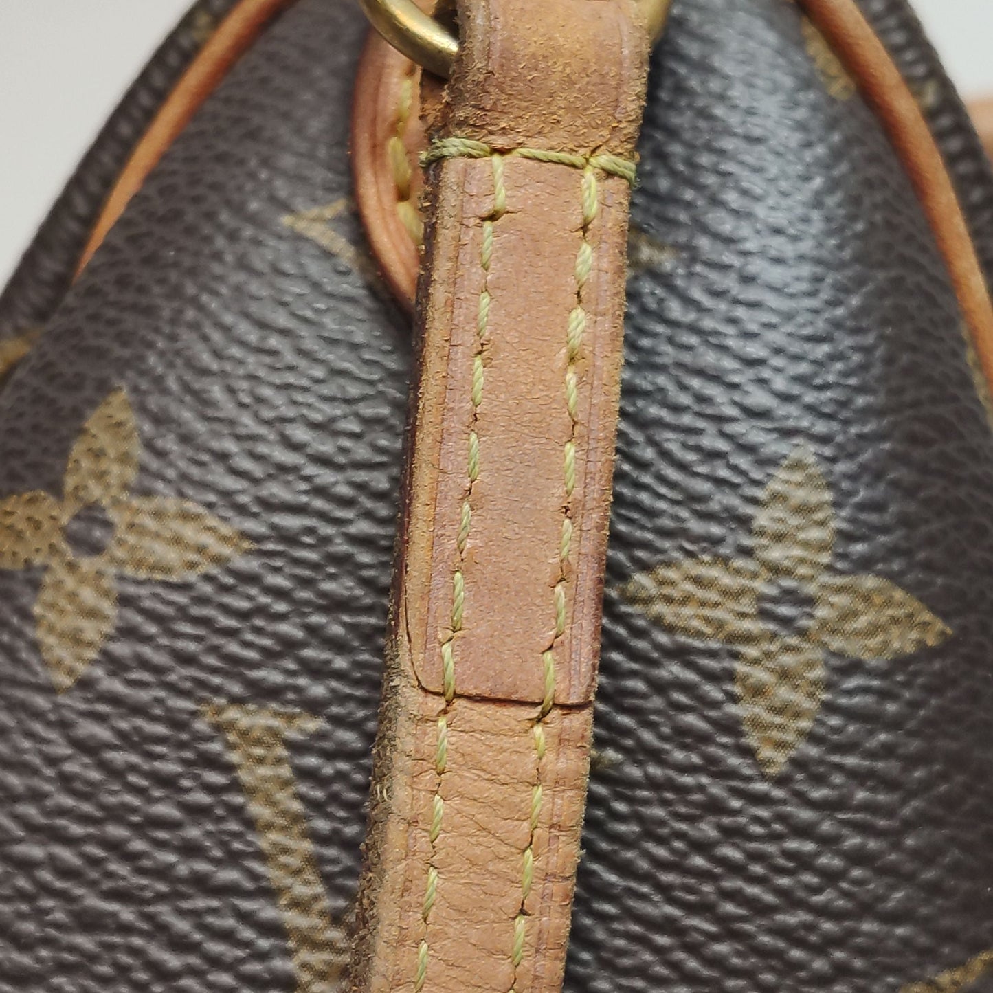 Preloved GLM-Speedy Nano Monogram Crossbody Bag 250602781219190