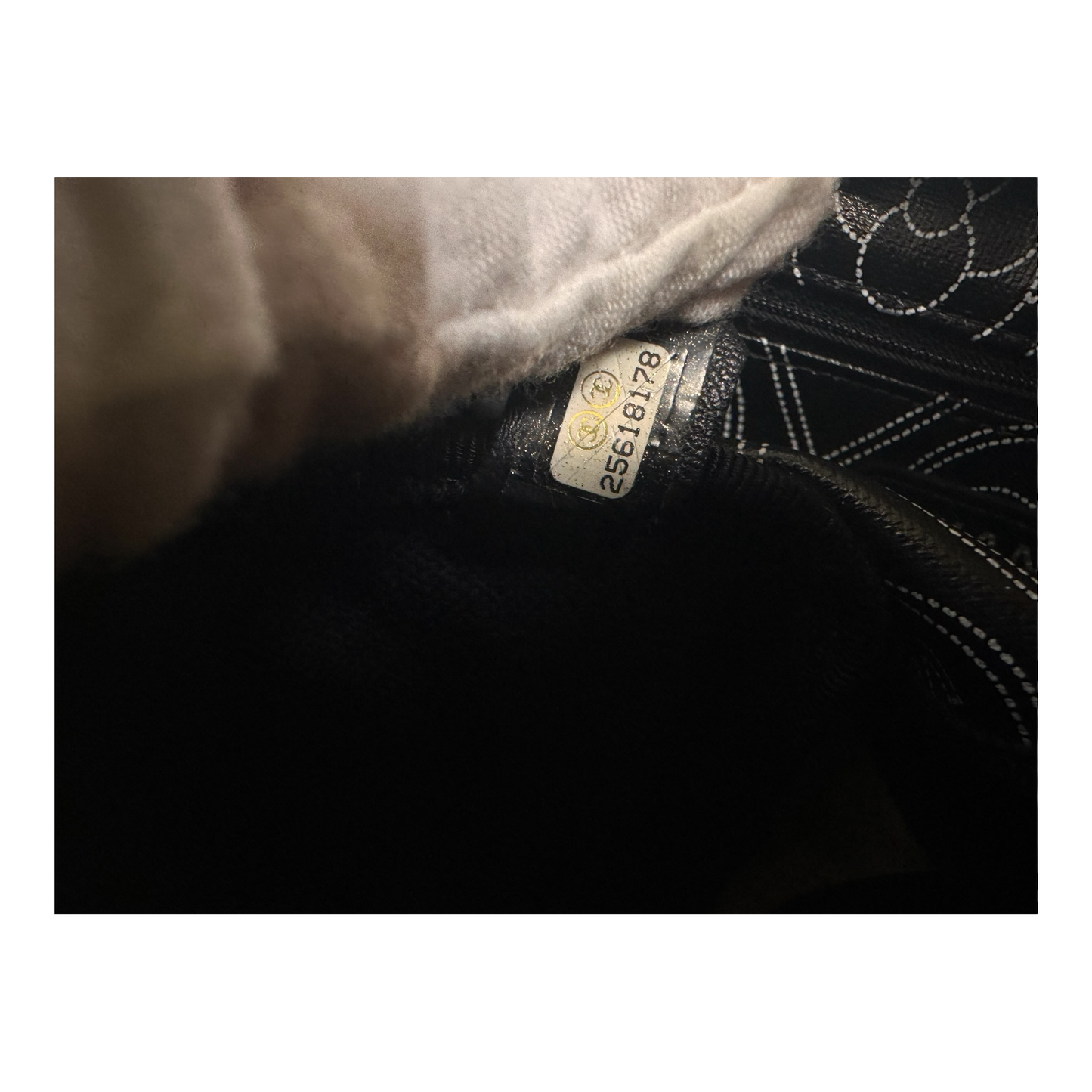 Chanel Coated Canvas Calfskin Camellia Printed Camera Case