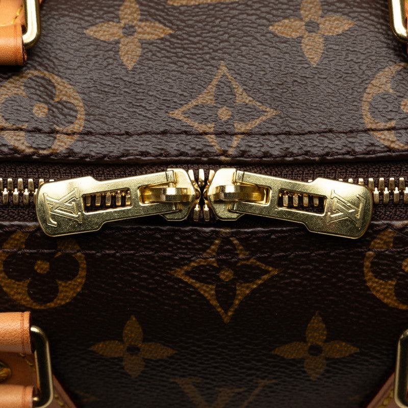 Louis Vuitton Monogram M41113 Handbag PVC/Leather Brown