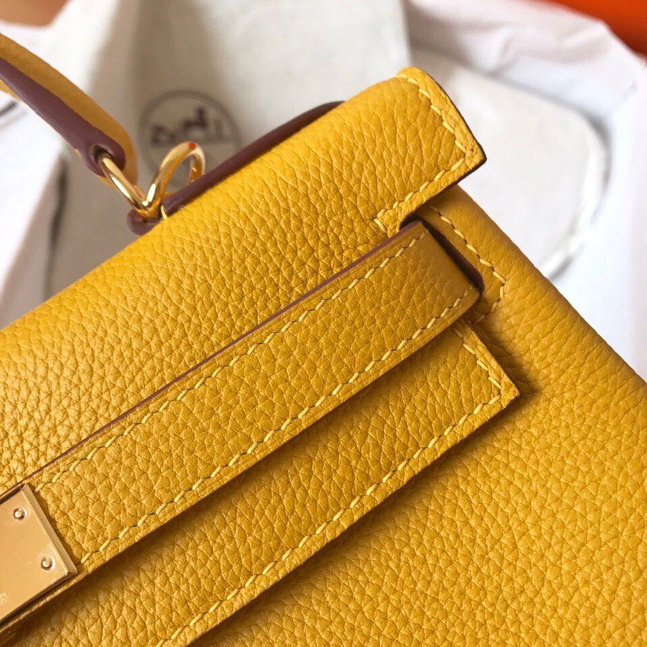 GLAMI Birkin Electric Ambre 9D For Women Gold Toned Hardware 11.8in/30cm