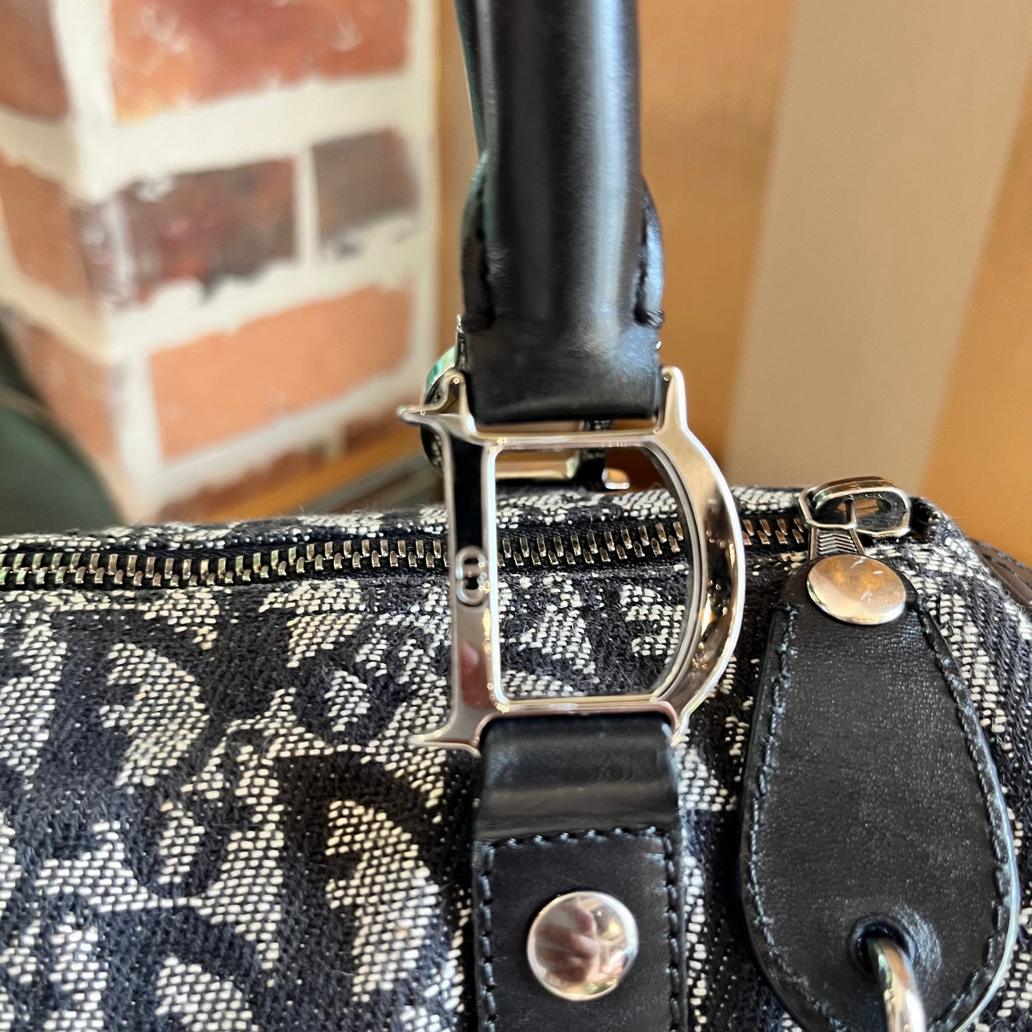 CHRISTIAN DIOR Trotter Canvas Satchel