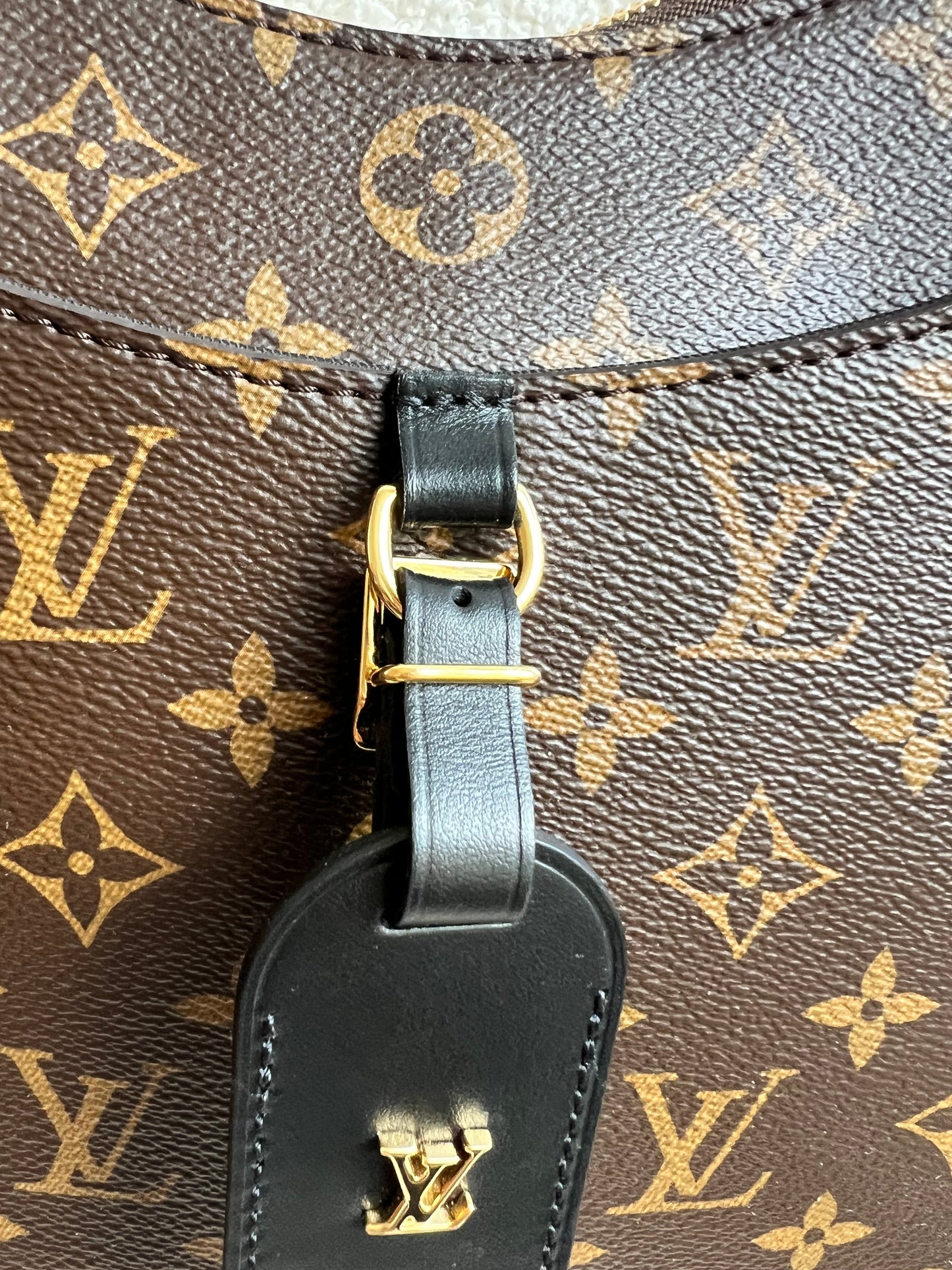 Louis Vuitton Odeon Monogram (RRP £1650)