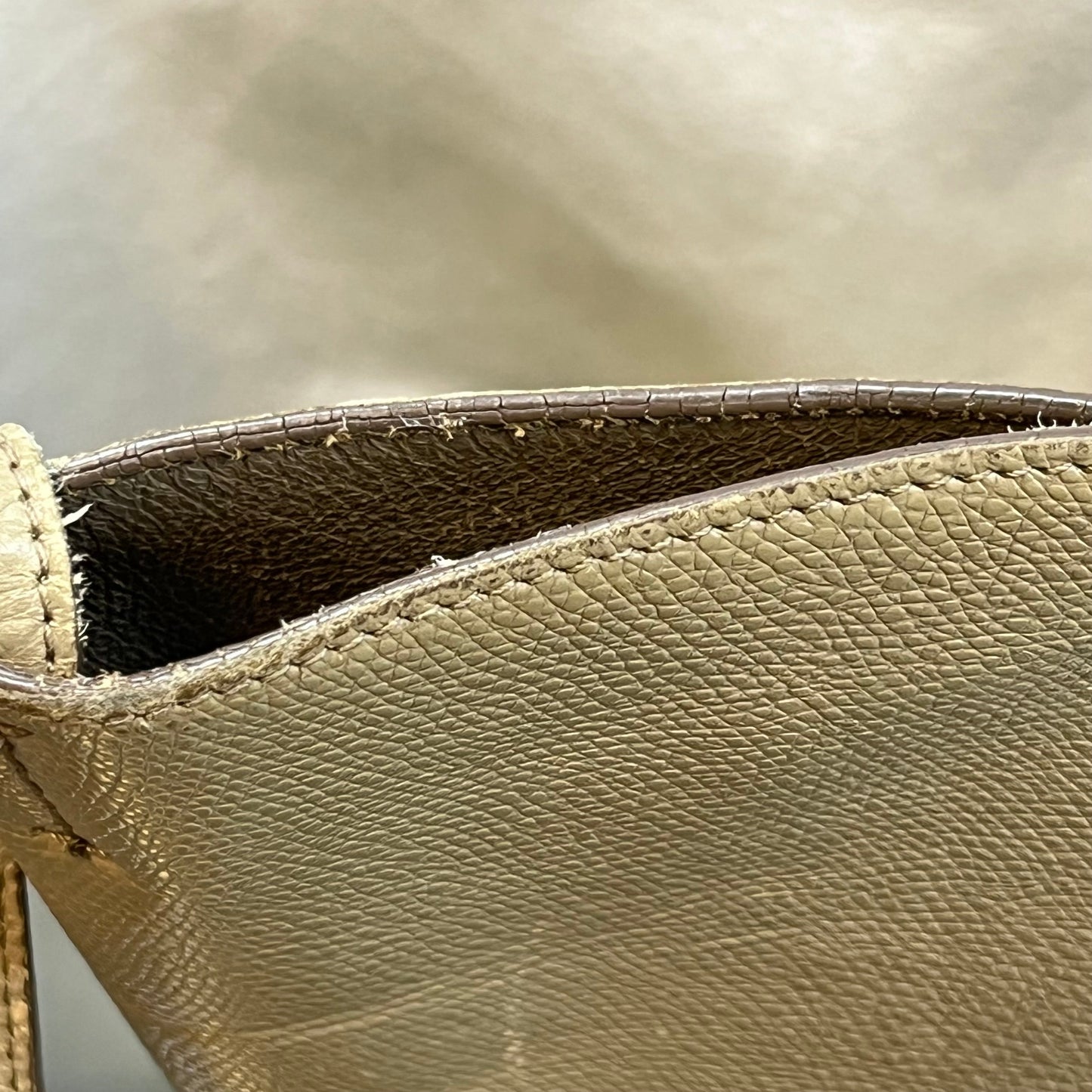 CELINE Phantom Grained Calfskin Horizontal Tote Bag