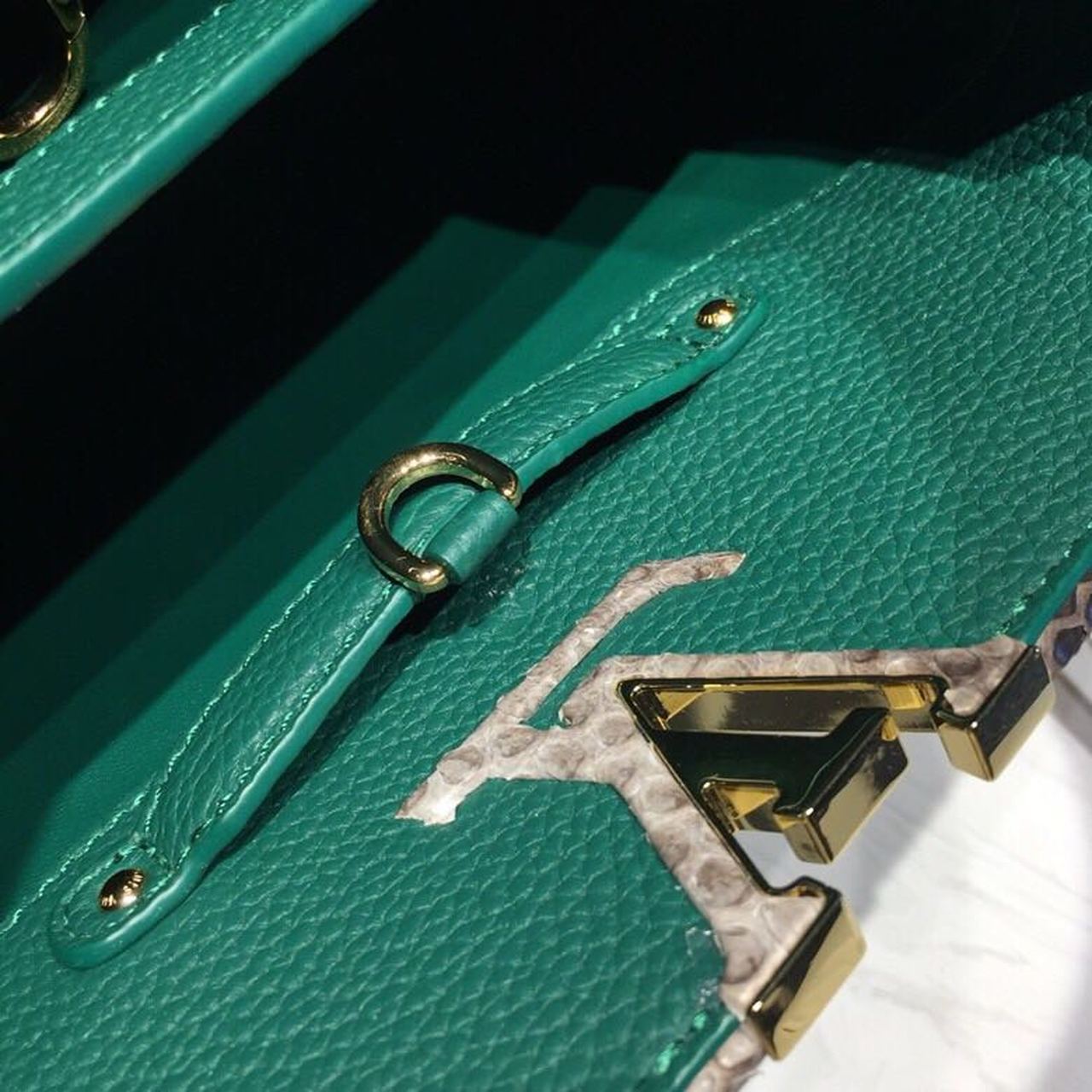LV Capucines GLAMI Taurillon And Python Green For Women,  Shoulder And Crossbody Bags 10.6in/27cm LV