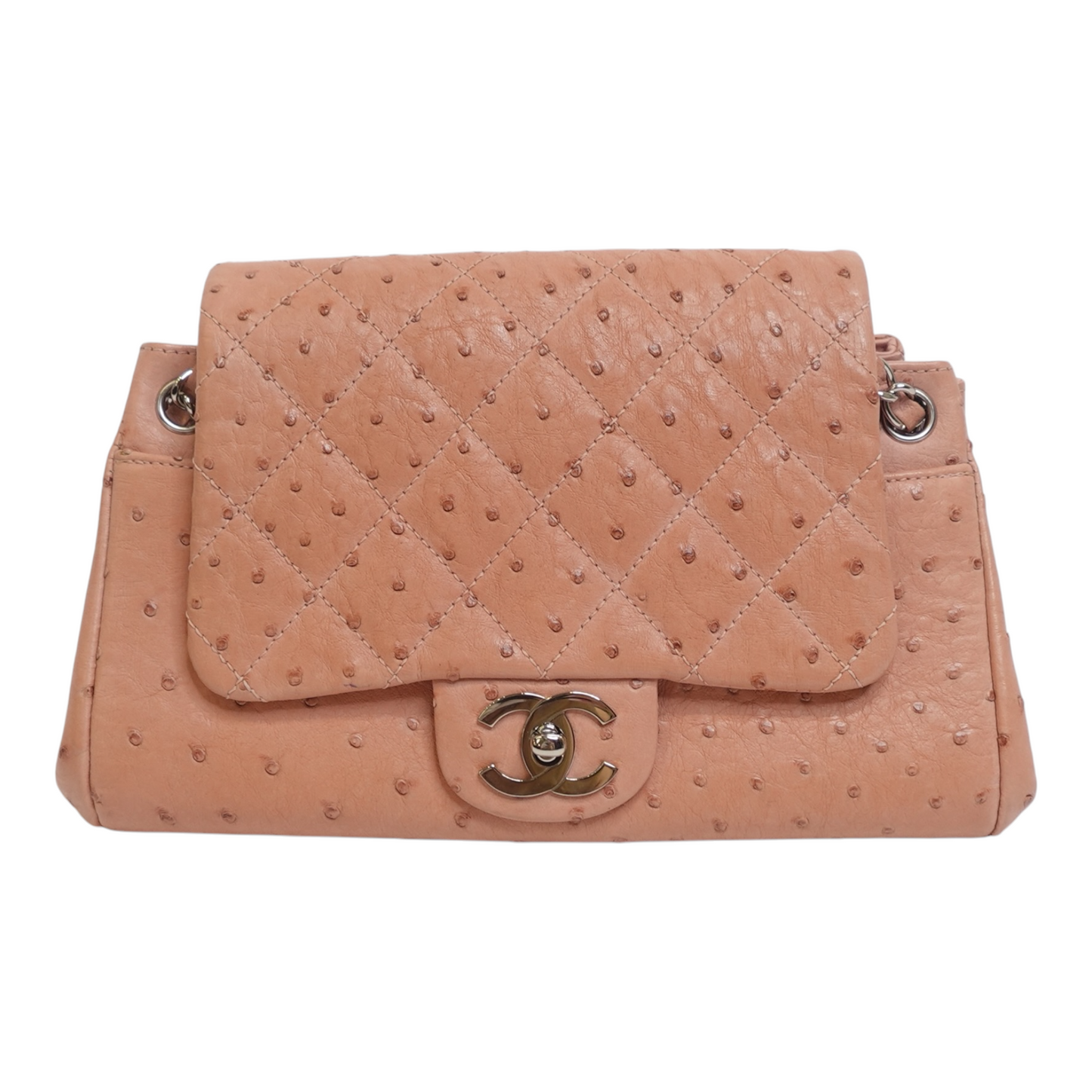 Chanel Ostrich Accordion Flap Bag