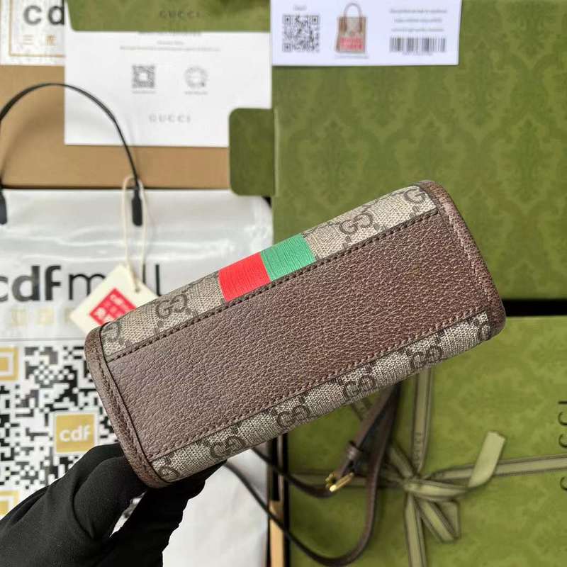 GUI2 Bags - Fashion Bags  548