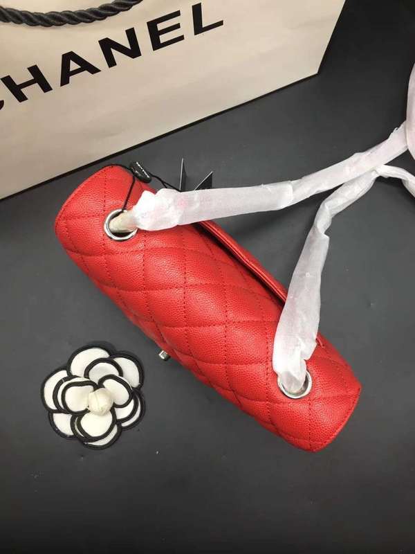 Satchel Bags - CHL Bags - 573