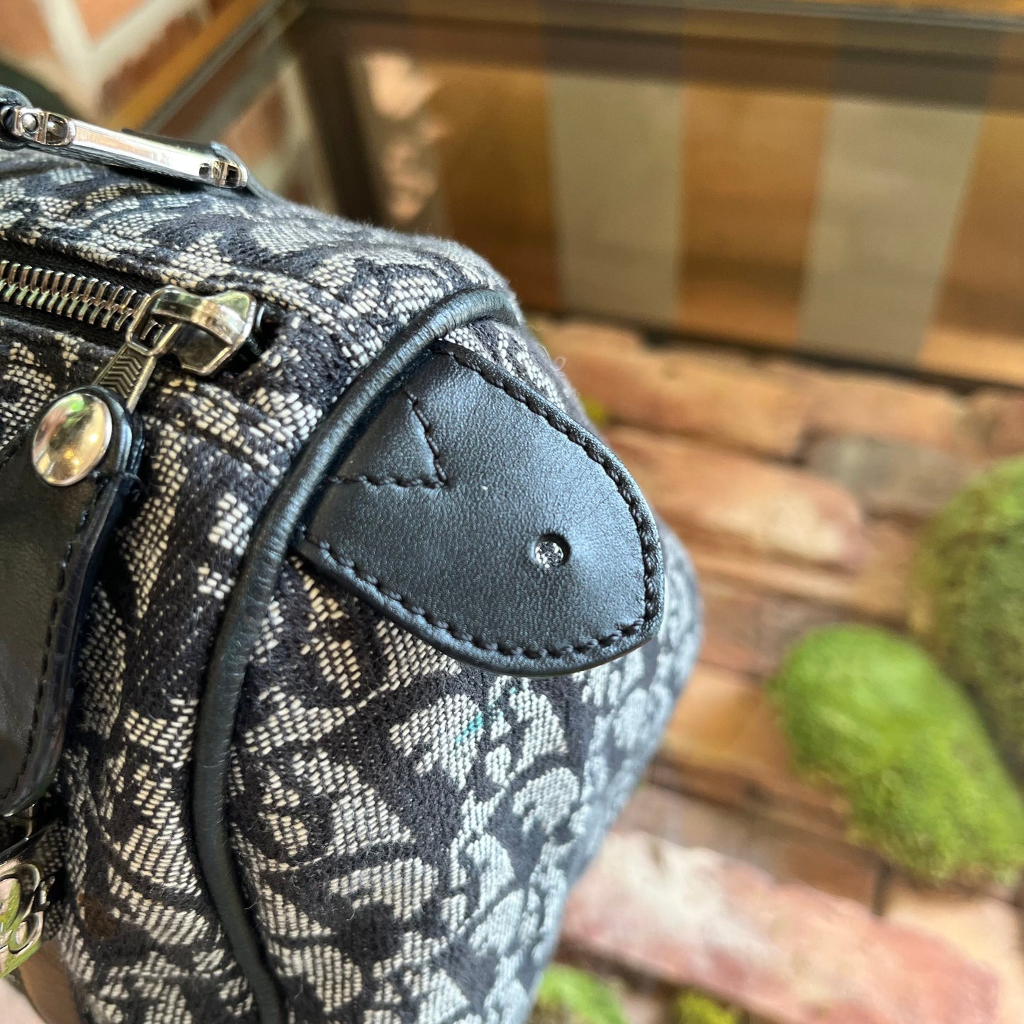 CHRISTIAN DIOR Trotter Canvas Satchel
