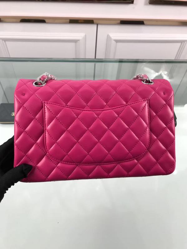 Satchel Bags - CHL Bags - 6672
