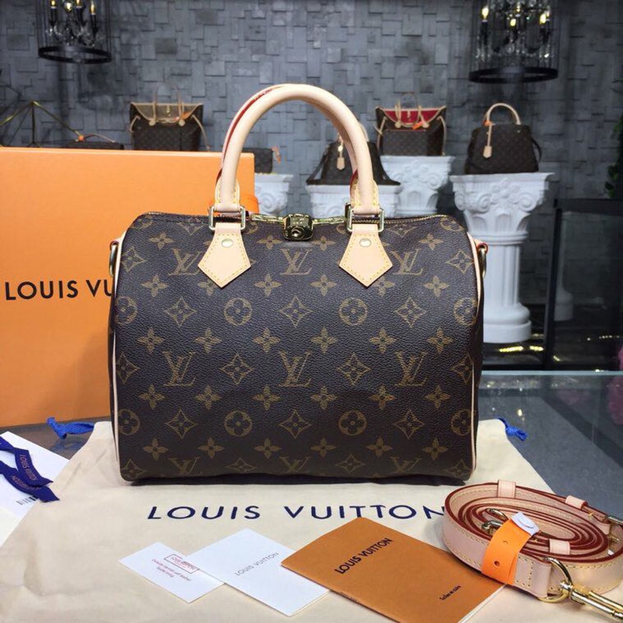 LV Speedy 25 Monogram Canvas For Women, WomenÃ¢â‚¬â„¢s Handbags 9.8in/25cm LV M41109
