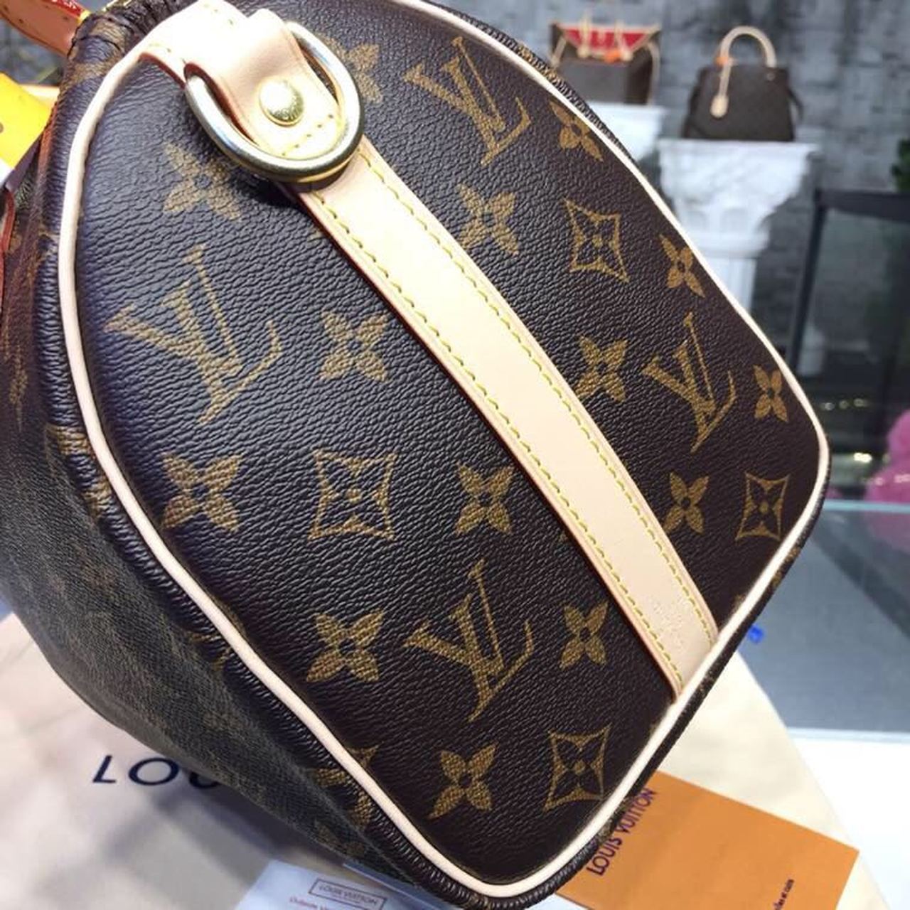 LV Speedy 25 Monogram Canvas For Women, WomenÃ¢â‚¬â„¢s Handbags 9.8in/25cm LV M41109