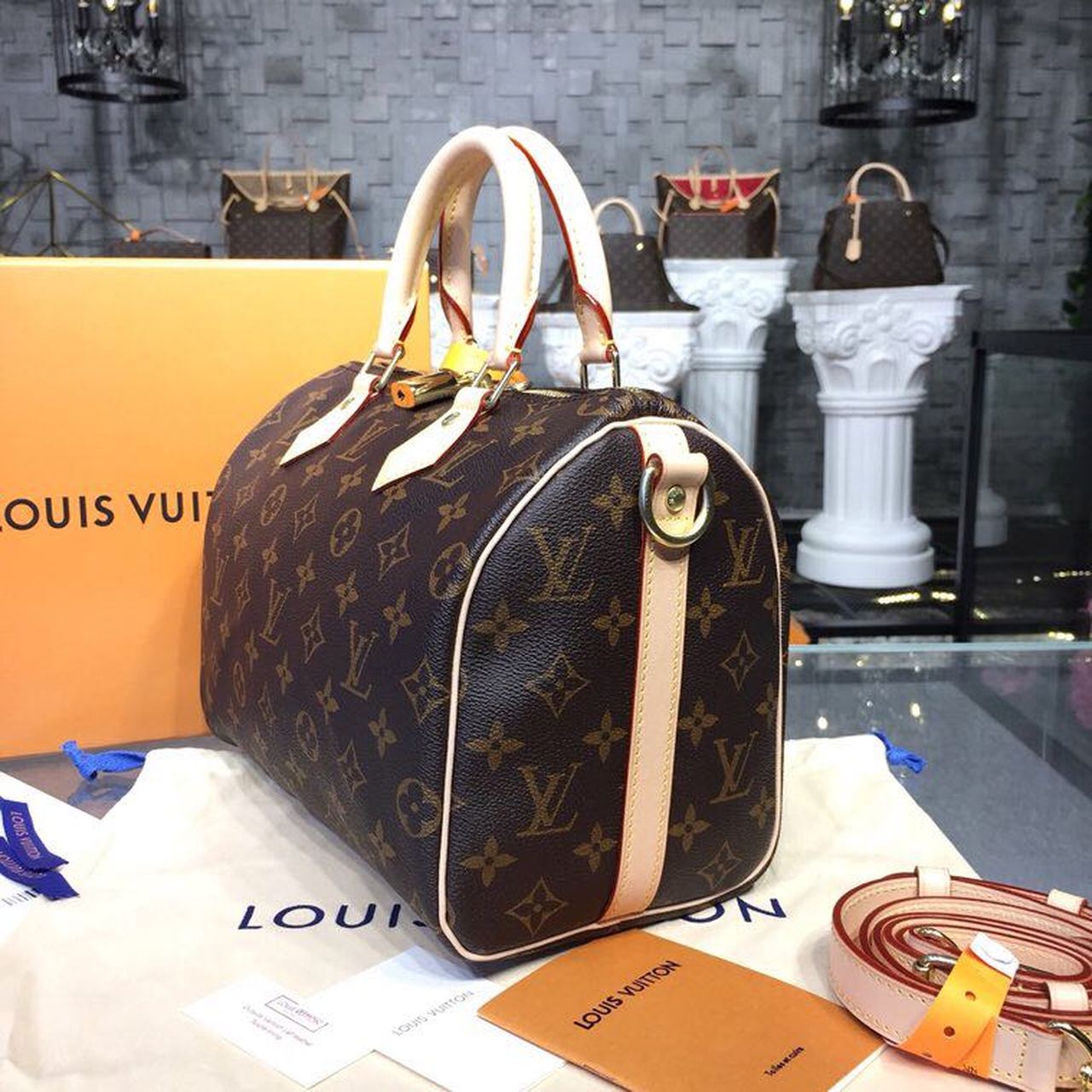 LV Speedy 25 Monogram Canvas For Women, WomenÃ¢â‚¬â„¢s Handbags 9.8in/25cm LV M41109