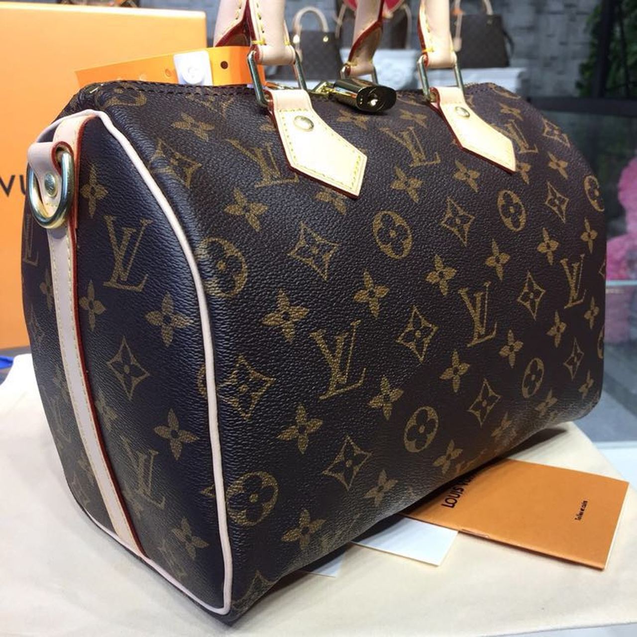 LV Speedy 25 Monogram Canvas For Women, WomenÃ¢â‚¬â„¢s Handbags 9.8in/25cm LV M41109