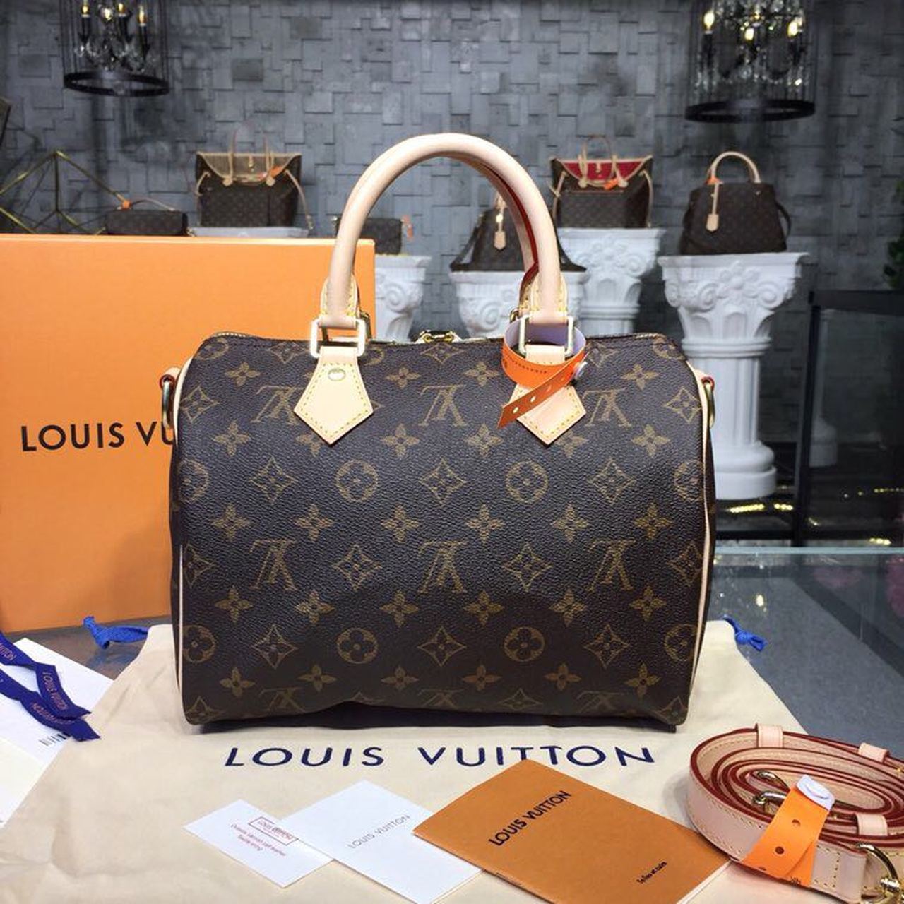 LV Speedy 25 Monogram Canvas For Women, WomenÃ¢â‚¬â„¢s Handbags 9.8in/25cm LV M41109